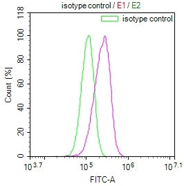 Overlay Peak curve showing HepG2 cells stained with CSB-RA993143A0HU (red line) at 1:100. The cells were fixed in 4% formaldehyde and permeated by 0.2% TritonX-100. Then 10% normal goat serum to block non-specific protein-protein interactions followed by the antibody (1ug/1*10 6 cells) for 45min at 4℃. The secondary antibody used was FITC-conjugated Goat Anti-rabbit IgG(H+L) at 1:200 dilution for 35min at 4℃.Control antibody (green line) was rabbit IgG (1ug/1*10 6 cells) used under the same conditions.