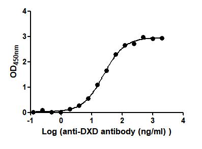 The Binding Activity of DXD-BSA with Anti-DXD antibodyActivity: Measured by its binding ability in a functional ELISA. Immobilized DXD-BSA at 2 μg/mL can bind Anti-DXD antibody, the EC<sub>50</sub> is 22.68 to 27.25 ng/mL.
