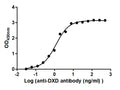 The Binding Activity of T-DXd(DS-8201) with Anti-DXD antibodyActivity: Measured by its binding ability in a functional ELISA. Immobilized T-DXd(DS-8201) at 2 μg/mL can bind Anti-DXD antibody, the EC<sub>50</sub> is 0.9828 to 1.446 ng/mL.