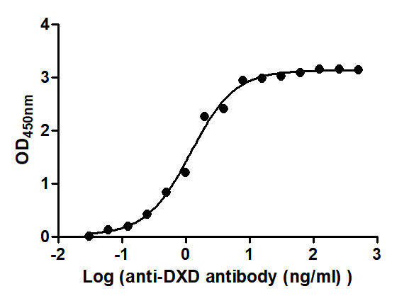 The Binding Activity of T-DXd(DS-8201) with Anti-DXD antibodyActivity: Measured by its binding ability in a functional ELISA. Immobilized T-DXd(DS-8201) at 2 μg/mL can bind Anti-DXD antibody, the EC<sub>50</sub> is 0.9828 to 1.446 ng/mL.