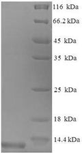 Recombinant Mouse C-C motif chemokine 3 (Ccl3) – Figure 1 of 1