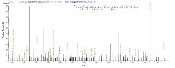Based on the SEQUEST from database of Yeast host and target protein, the LC-MS/MS Analysis result of CSB-YP013826MO could indicate that this peptide derived from Yeast-expressed Mus musculus (Mouse) Mif.