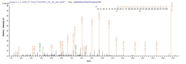 Based on the SEQUEST from database of Yeast host and target protein, the LC-MS/MS Analysis result of CSB-YP303065VAI could indicate that this peptide derived from Yeast-expressed Vaccinia virus (strain Western Reserve) (VACV) (Vaccinia virus (strain WR)) VACWR156.