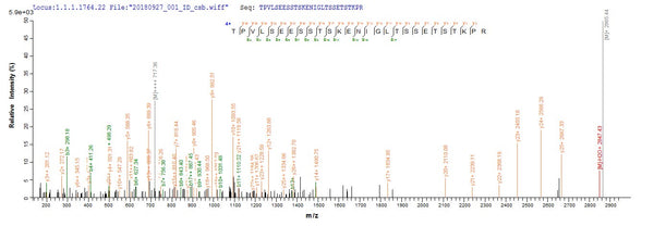 Based on the SEQUEST from database of Yeast host and target protein, the LC-MS/MS Analysis result of CSB-YP322675MHZ could indicate that this peptide derived from Yeast-expressed Moraxella bovis N/A.