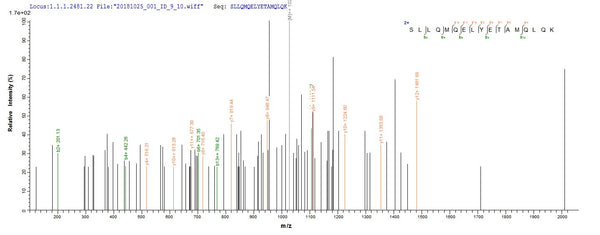 Based on the SEQUEST from database of Yeast host and target protein, the LC-MS/MS Analysis result of CSB-YP330827SVG could indicate that this peptide derived from Yeast-expressed Saccharomyces cerevisiae (strain ATCC 204508 / S288c) (Baker's yeast) ECM31.