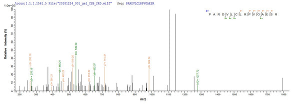 Based on the SEQUEST from database of Yeast host and target protein, the LC-MS/MS Analysis result of CSB-YP865559HEO could indicate that this peptide derived from Yeast-expressed Hepatitis B virus genotype D subtype ayw (isolate Japan/JYW796/1988) (HBV-D) X.