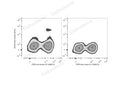 PerCP Anti-Mouse CD11c Antibody[N418] – Figure 1 of 2