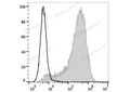 PE/Elab Fluor® 594 Anti-Human CD34 Antibody[581] – Figure 3 of 5
