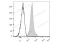 PE Anti-Mouse CD274/PD-L1 Antibody[10F.9G2] – Figure 1 of 2