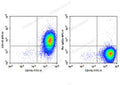 APC Anti-Mouse CD115/CSF-1R Antibody[AFS98] – Figure 1 of 2