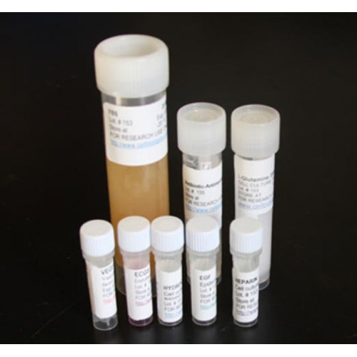 Human Lung Tumor-Associated Endothelial Cells (Adenocarcinoma) – Figure 1 of 1