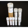Canine Primary Coronary Artery Fibroblasts – Figure 1 of 1