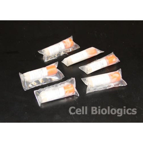 Hamster Primary Kidney Fibroblasts – Figure 1 of 1