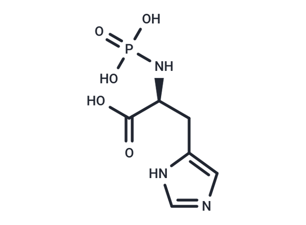 Phosphohistidine – Figure 1 of 1