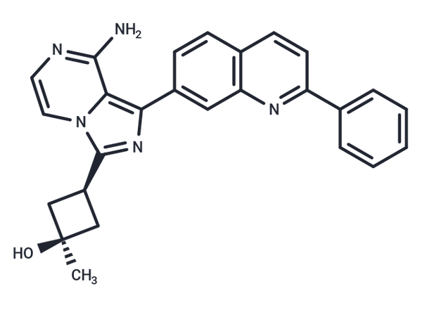 Linsitinib – Figure 1 of 1