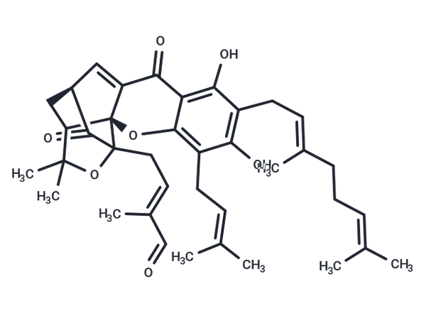 Isogambogenin – Figure 1 of 1