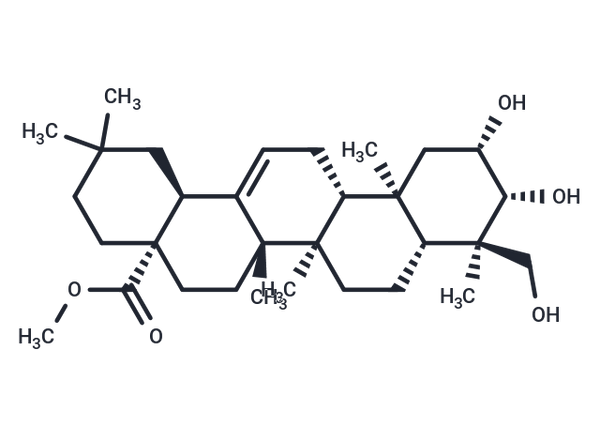 Bayogenin methyl ester – Figure 1 of 1