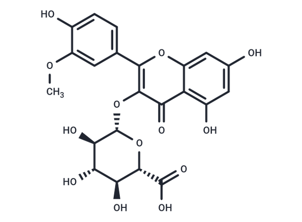 Isorhamnetin 3-glucuronide – Figure 1 of 1