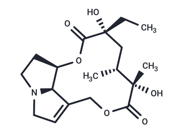 Bisline – Figure 1 of 1