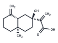 7-Hydroxy--costic acid – Figure 1 of 1