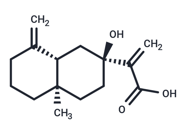 7-Hydroxy--costic acid – Figure 1 of 1