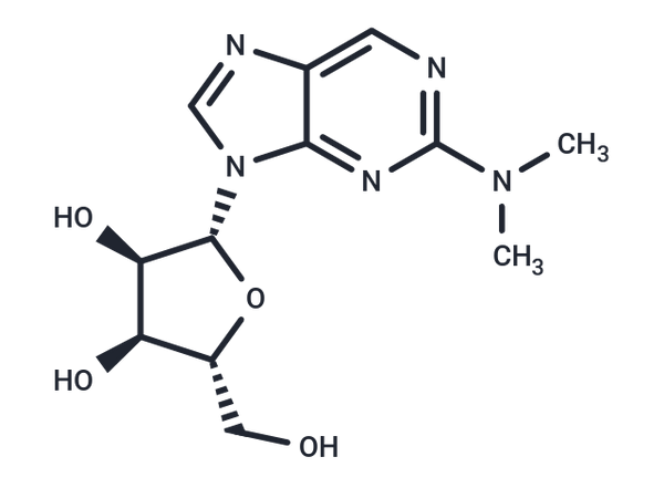 N2,N2-Dimethylamino-6-deamino adenosine – Figure 1 of 1