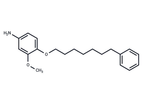 m-Anisidine, 4-((7-phenylheptyl)oxy)- – Figure 1 of 1