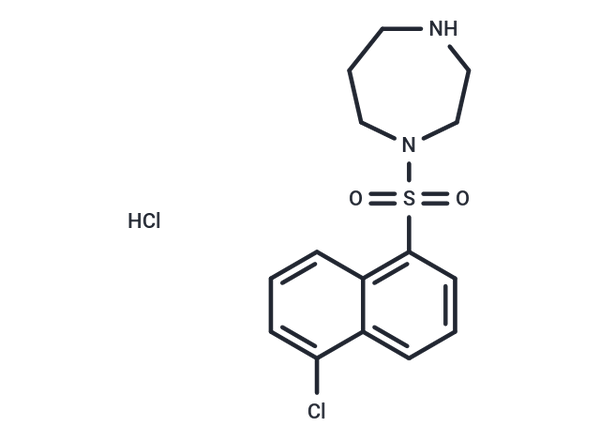 ML-9 – Figure 1 of 1