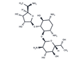 ELX-02 – Figure 1 of 1