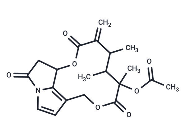 Pterophorine – Figure 1 of 1