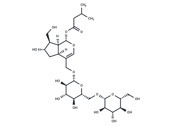 Kanokoside D – Figure 1 of 1