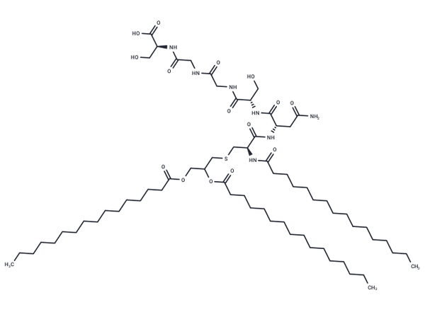 WS 1279 – Figure 1 of 1