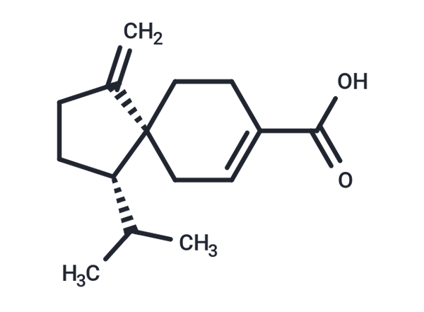 Schisansphenin B – Figure 1 of 1