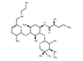 Plazomicin – Figure 1 of 1