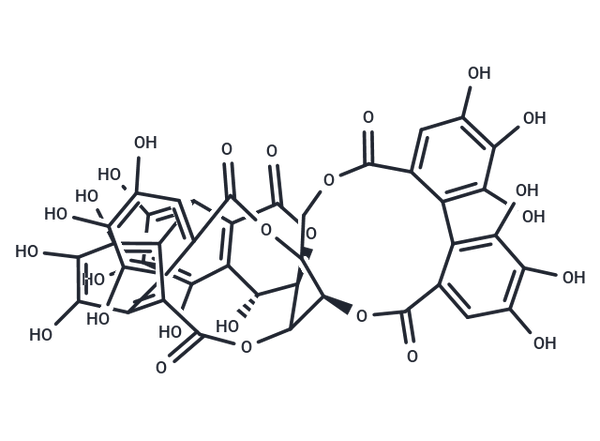 Vescalagin – Figure 1 of 1