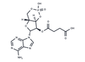 2'-O-Succinyl-cAMP – Figure 1 of 1