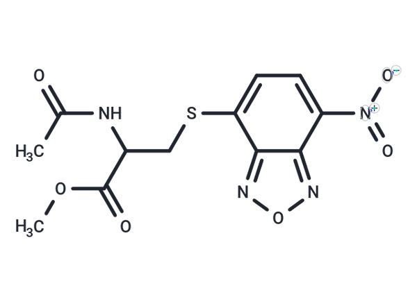 CN009543V – Figure 1 of 1