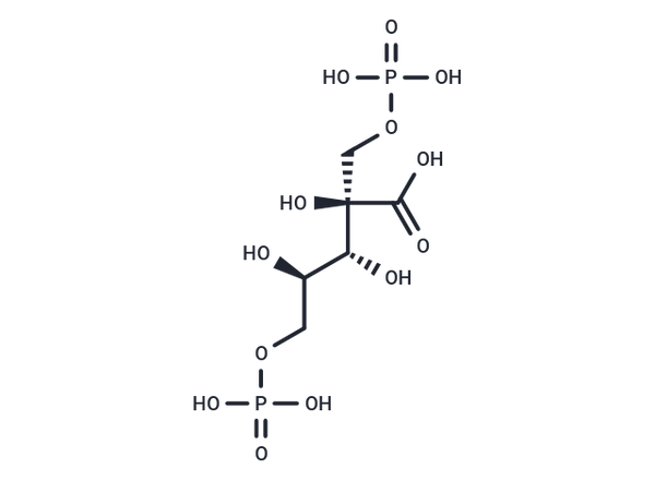 CABP – Figure 1 of 1