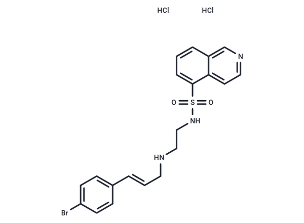 H-89 dihydrochloride – Figure 1 of 1