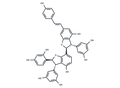 Gnetumontanin B – Figure 1 of 1
