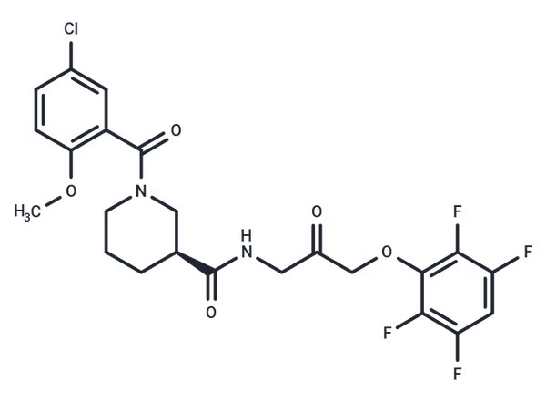 KRAS inhibitor FB9 – Figure 1 of 1
