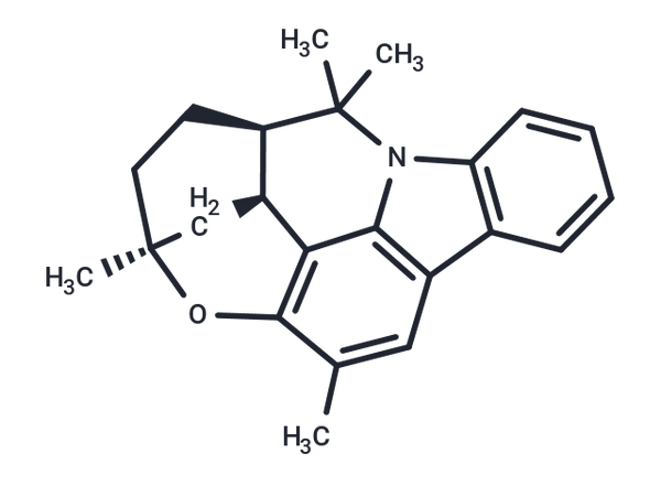 Curryangine – Figure 1 of 1
