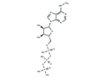 6-Me-ATP – Figure 1 of 1