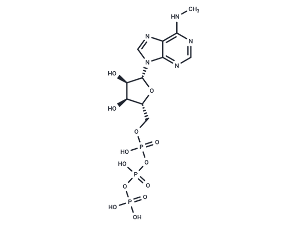6-Me-ATP – Figure 1 of 1