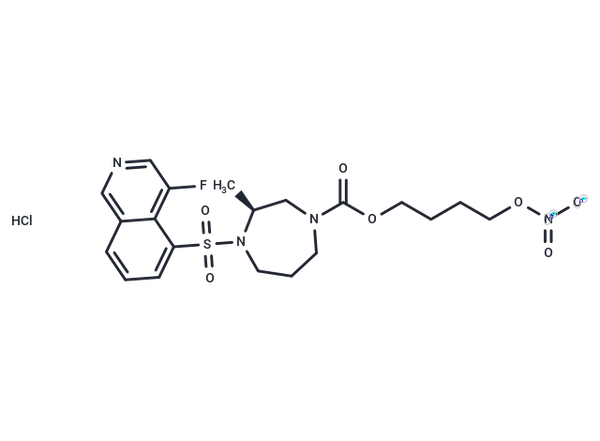 ROCK-IN-4 – Figure 1 of 1
