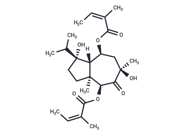 Laserpitin – Figure 1 of 1