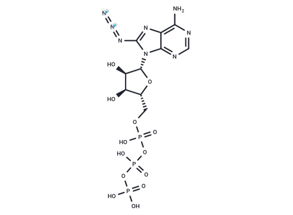 8-Azido-ATP – Figure 1 of 1