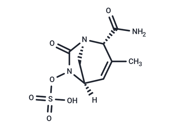 Durlobactam – Figure 1 of 1