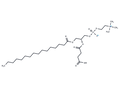 1-Palmitoyl-2-succinyl-sn-glycerophosphorylcholine – Figure 1 of 1