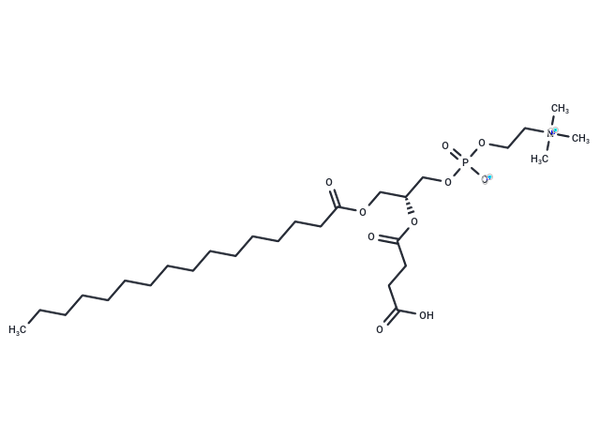 1-Palmitoyl-2-succinyl-sn-glycerophosphorylcholine – Figure 1 of 1